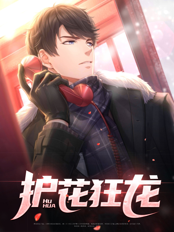 护花狂龙易军小说免费下载