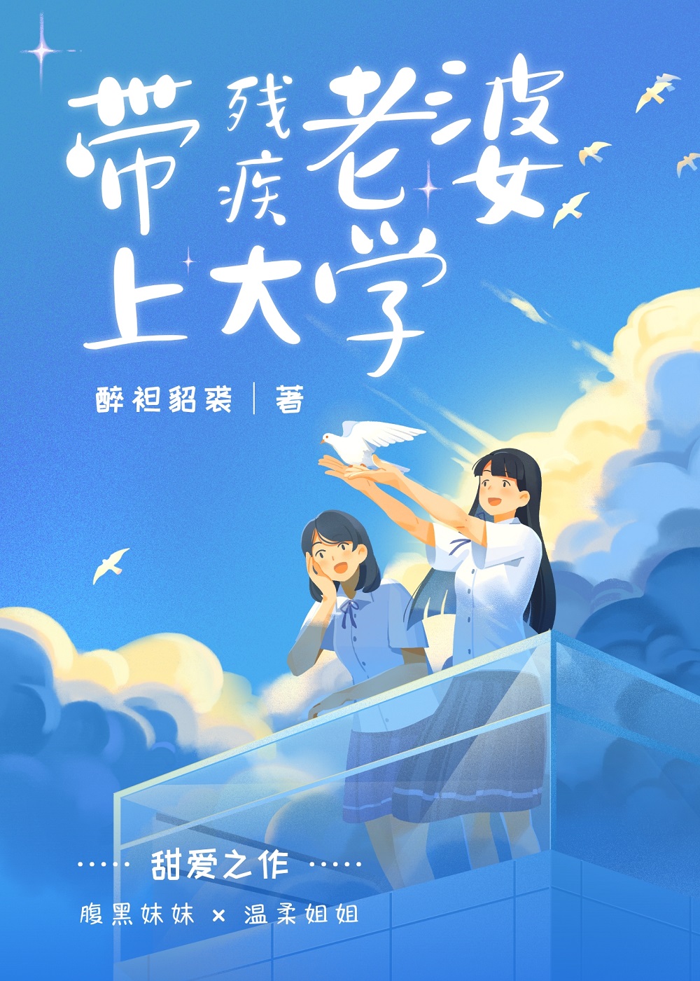 带残疾老婆上大学的小说