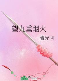 望九重烟火txt