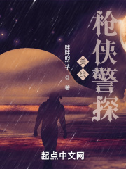 北美枪侠警探 百科