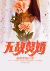 无敌赘婿沈浪金木兰
