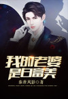 我的老婆是白富美小说