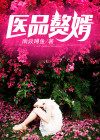 医品赘婿白毅