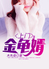 上门豪婿小金易