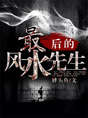 最后的风水先生主角不归的小说