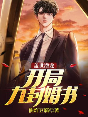 盖世,小说