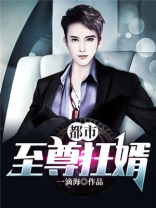 都市至尊狂婿小说