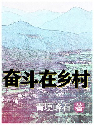 乡村奋斗记