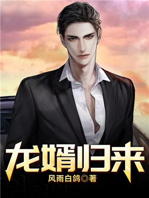 龙婿归来林天