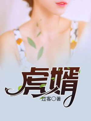 小说龙门虎婿