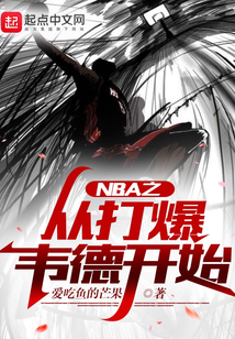 nba从打爆韦德开始 小说