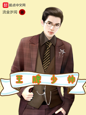 王牌少帅TXT下载