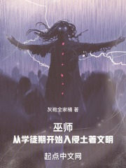 巫师入侵 小说