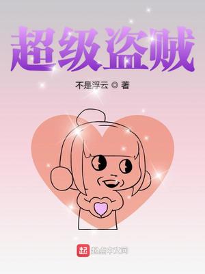 超级盗贼小说