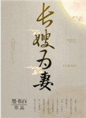 山河枕长嫂为妻电视剧