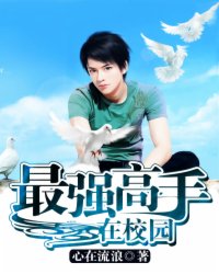 最强高手在校园 小说