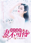 噬骨谋情:妻不可待免费阅读