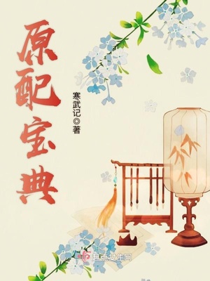 原配宝典好看吗