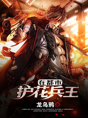 护花兵王在都市免费读