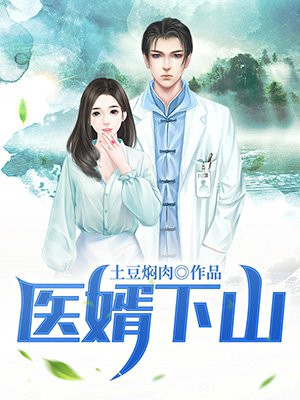 医婿下山叶不凡免费全文阅读