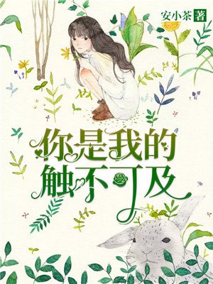 你是我的触不可及免费阅读