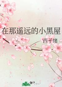 在那遥远的小黑屋讲了什么