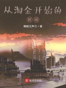 从淘金开始的财阀小说