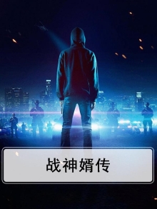 战神婿传