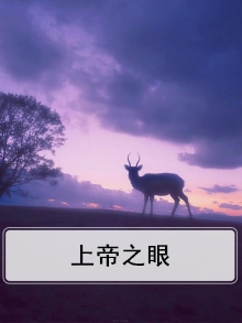 上帝之眼的声音