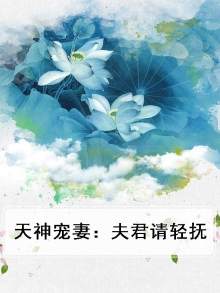 天神宠妻:夫君请轻抚