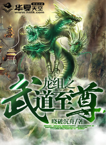 龙组之武道至尊