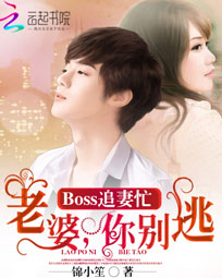 总裁追妻,老婆你别闹
