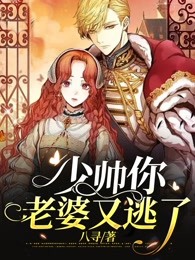 少帅你的老婆又跑了小说