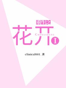 重生之富贵花开