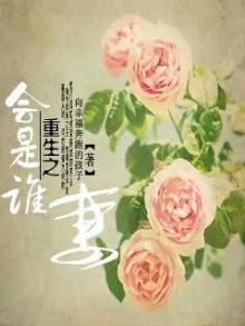 重生之会是谁妻