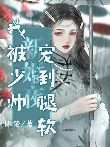新婚夜，我被少帅宠到腿软