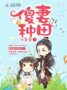 傻妻种田大结局