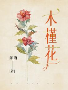 木槿花