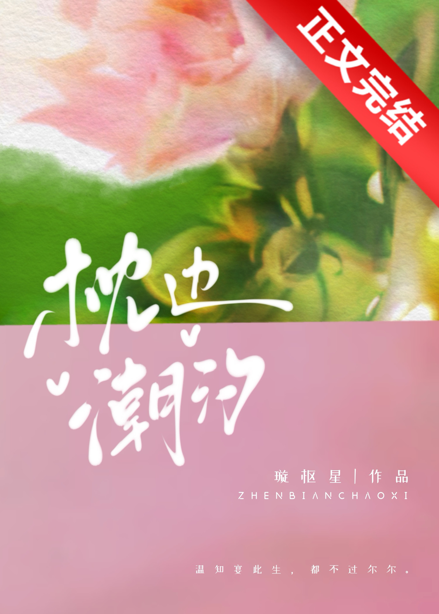 枕边潮汐小说在线阅读免费
