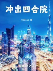 四合院我太有才了