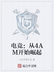 电竞从4am开始崛起全文阅读