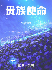 贵族任战士什么意思