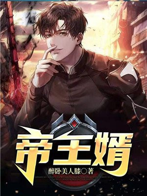 帝王婿最新章节 - 无弹窗全文免费阅读