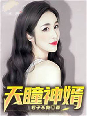 神瞳赘婿笔趣阁