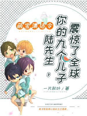 萌宝集结令:陆先生,你的九个儿子震惊了全球一片秋叶