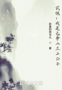 武侠:我是无争山庄二公子下载
