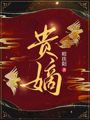 贵嫡百度网盘下载