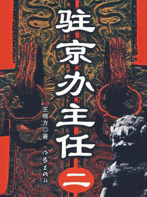 驻京办主任(二) 王晓方