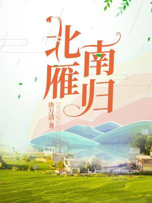 北雁南归的下一句