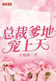 总裁爹地宠上天南栀慕司寒